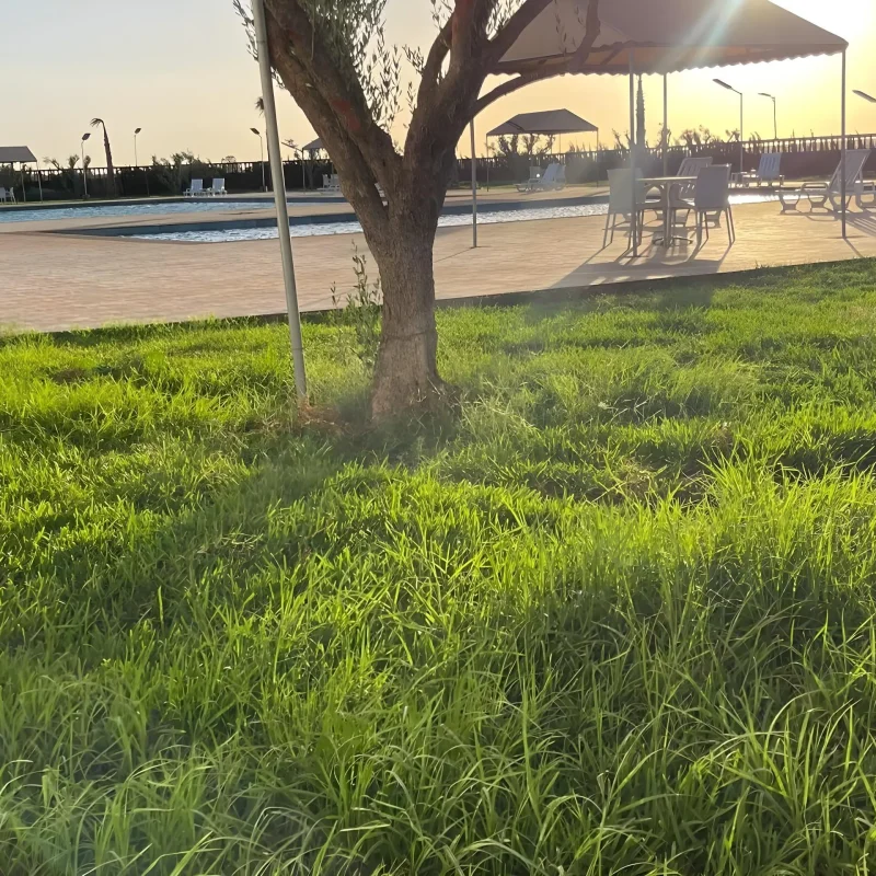 resort (12)