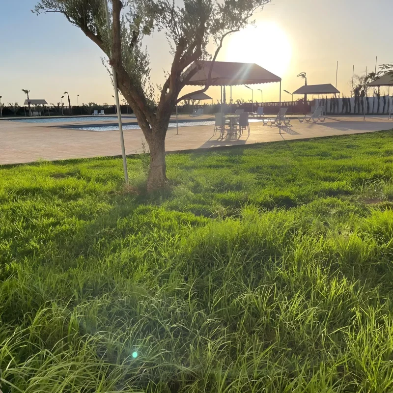 resort (3)